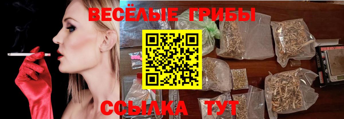 Псилоцибиновые грибы Psilocybe  Галлюциногенные грибы Cubensis  Вход с VPN  Ковров 