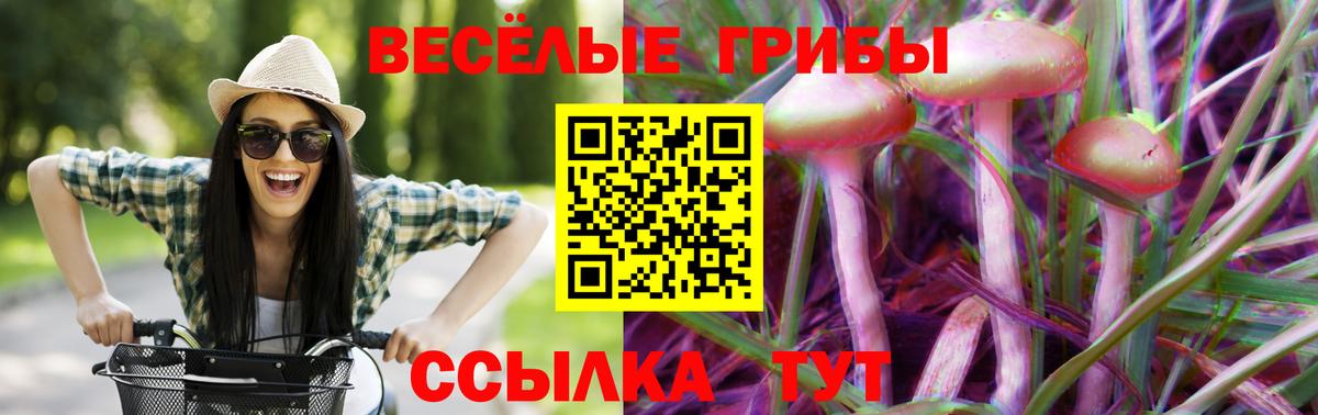 Псилоцибиновые грибы Cubensis Ковров